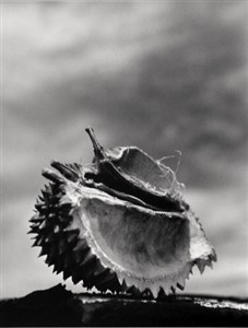 Image description is not available for 1997.034